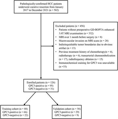 Delta-radiomics models based on multi-phase contrast-enhanced magnetic resonance imaging can preoperatively predict glypican-3-positive hepatocellular carcinoma